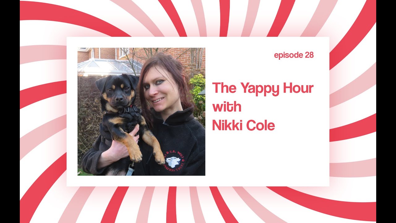 Discover the English Toy Terrier with Nikki Cole: Vulnerable Breeds & Responsible Dog Choices