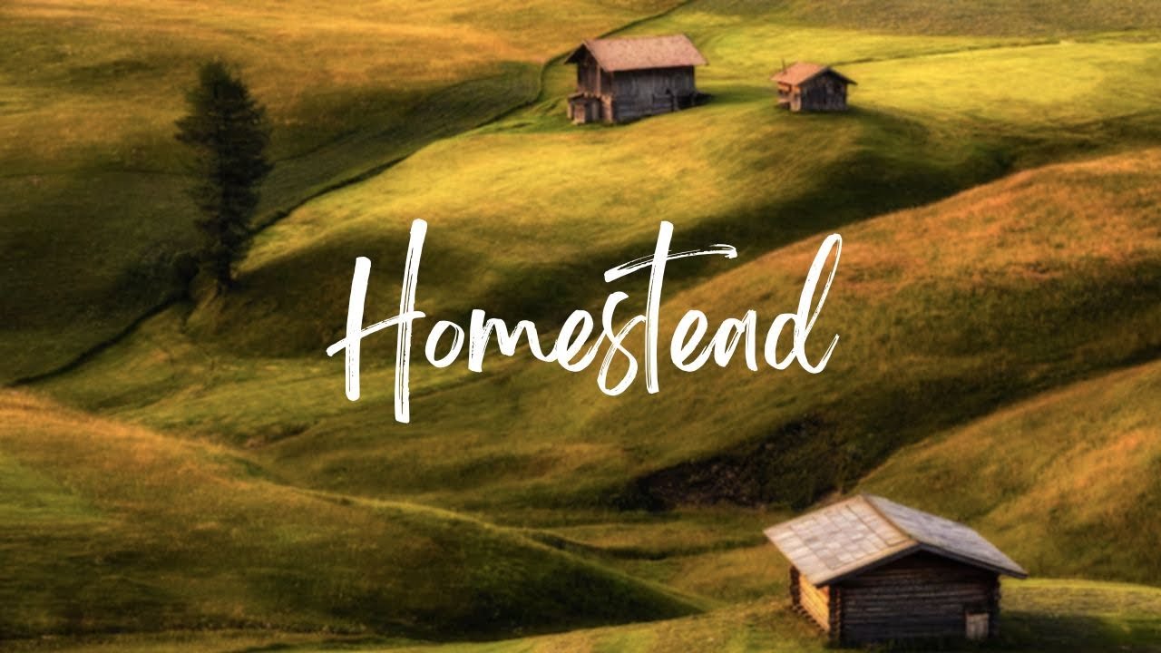 (FREE) Country folk type beat 