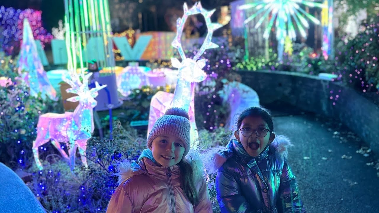 Havering Christmas Land 2025