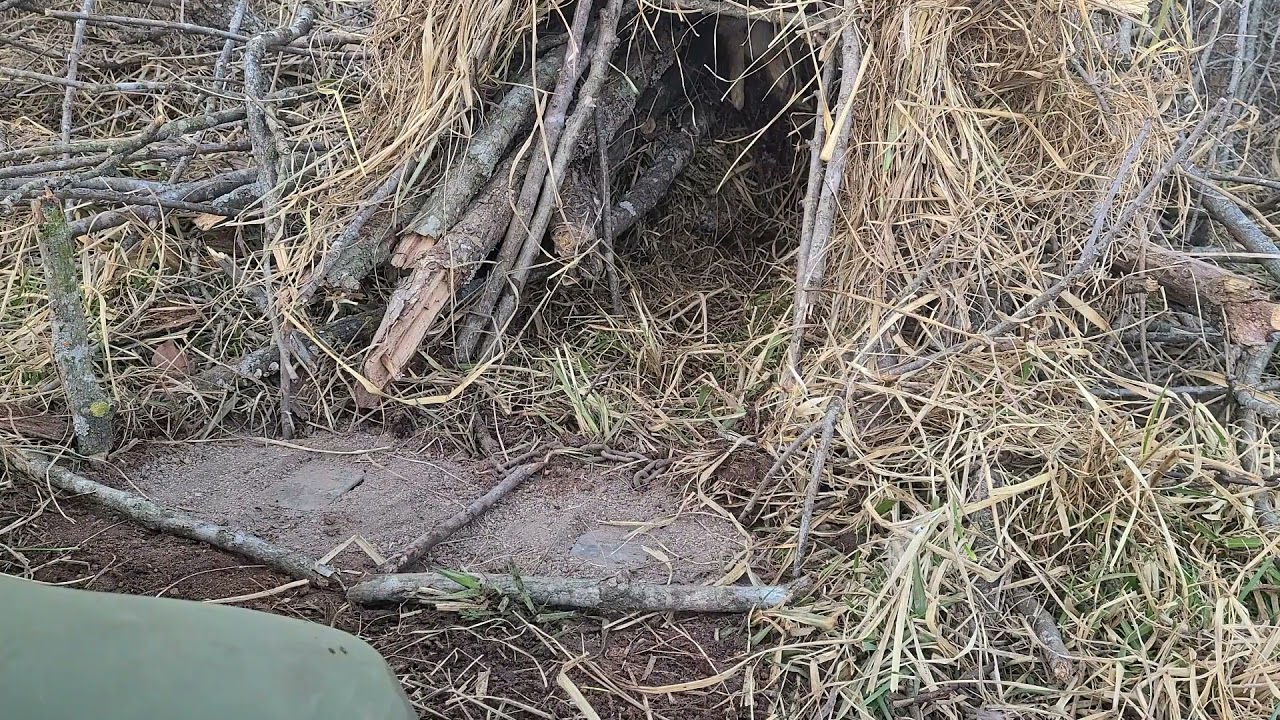 Bobcat Cubby at fallen tree with results