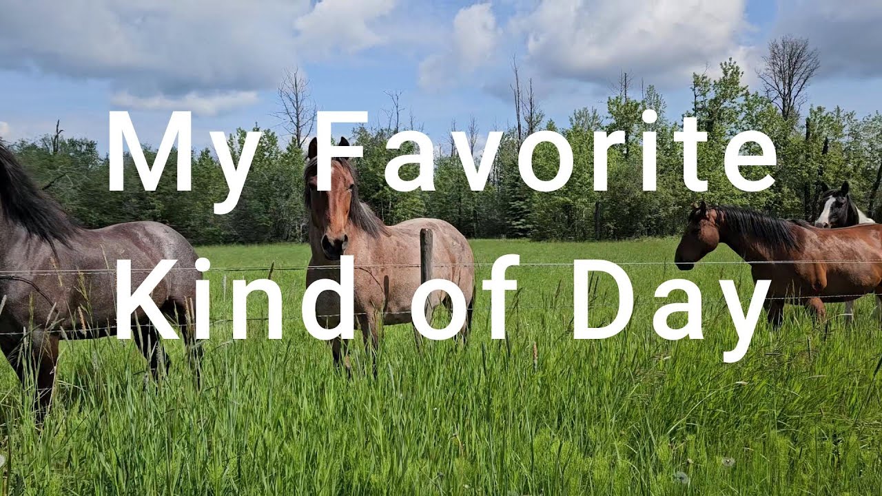 Small Farm Vlog | My Favorite Kind of Day | Pregnant Mare | Baby Goats