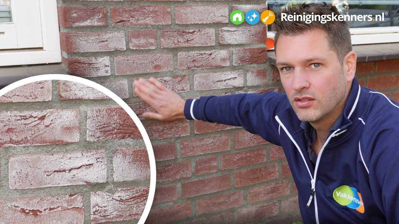 Hoe krijg je witte aanslag of uitbloei van de gevel?