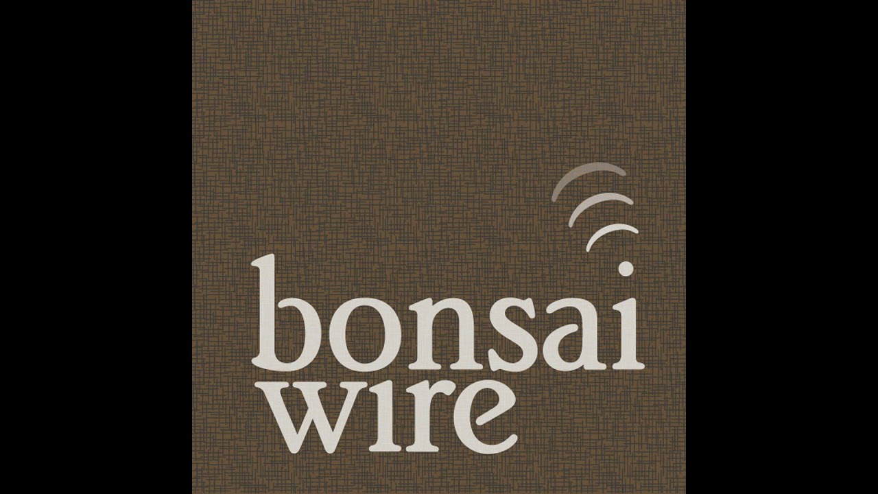 John and Michael chat about growing Japanese Black Pine