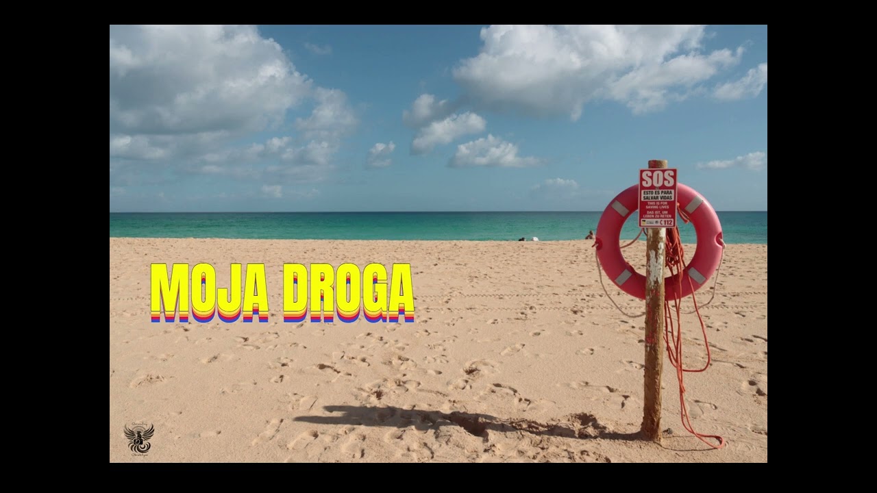 MojaDroga-PureWaveAi-