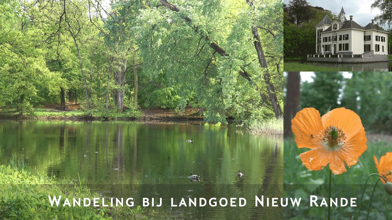 Wandeling Diepenveen Landgoed Nieuw Rande (trage tocht)