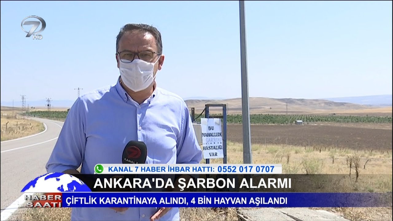 Ankara'da Şarbon Alarmı!