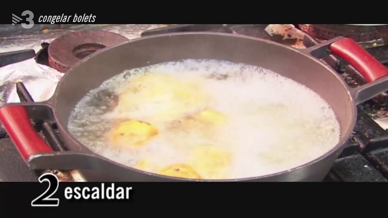 Caçadors de bolets Temp 4 - Cap 1 (Camprodon)