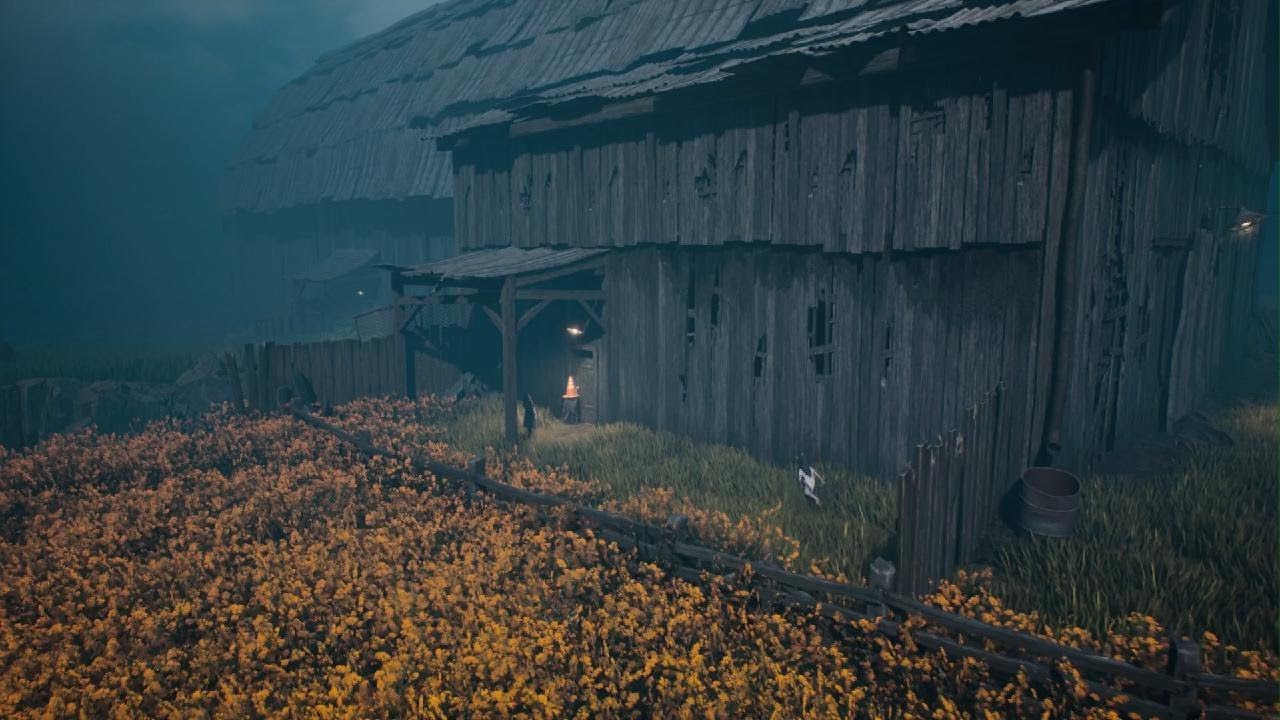 REANIMAL_20260222143809