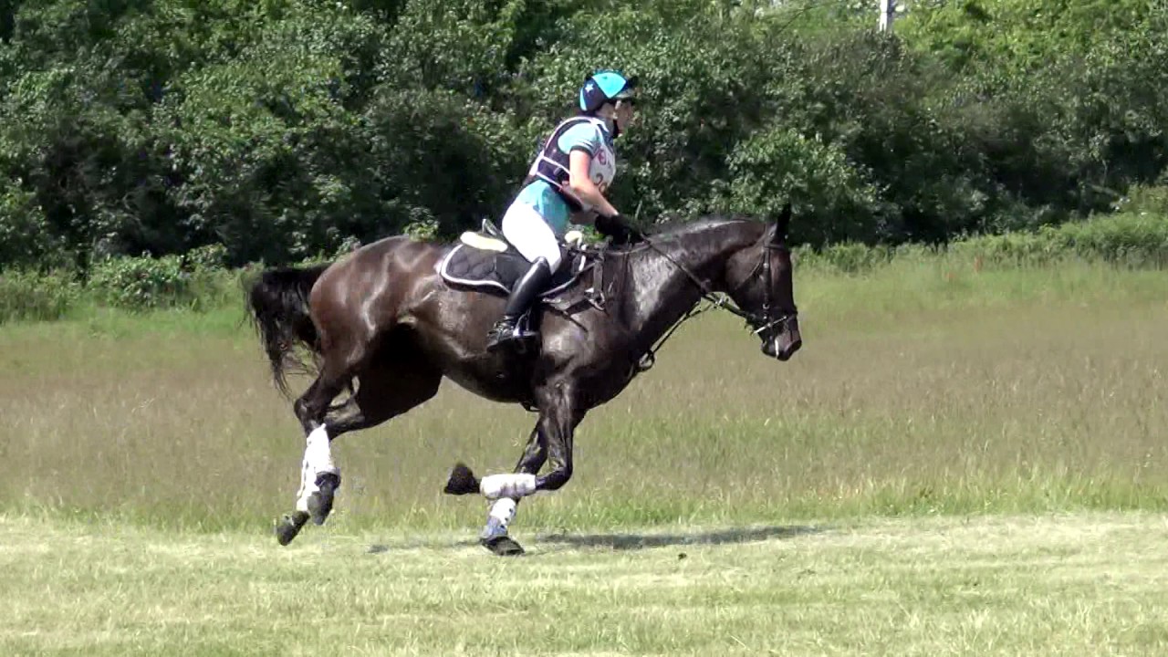 László Gabriella - Suttogó Saca - CCI* - Dunakeszi-ALag 2016