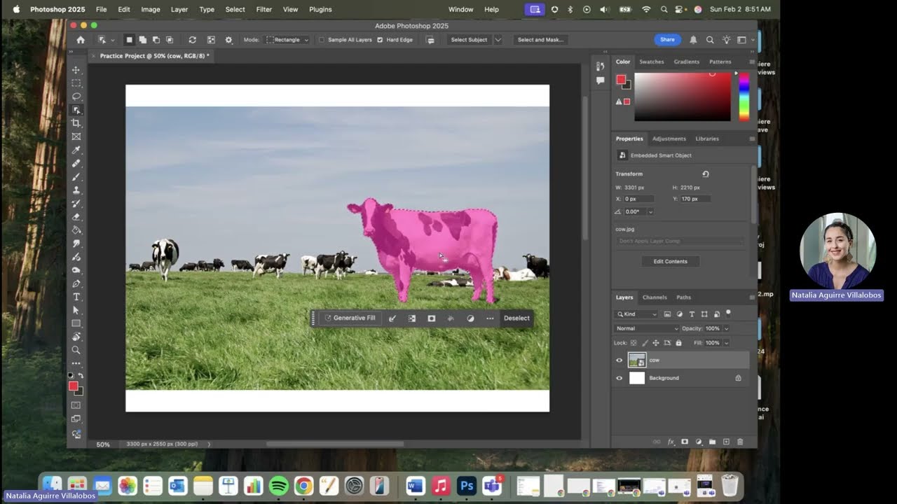 Adobe Photoshop: Essential Photo Editing