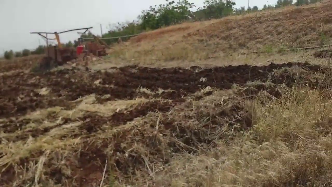 تعال واكتشف كيفية الحصول على دعم الري بالتنقيط + حوض come and find out how to obtain the drip irrig