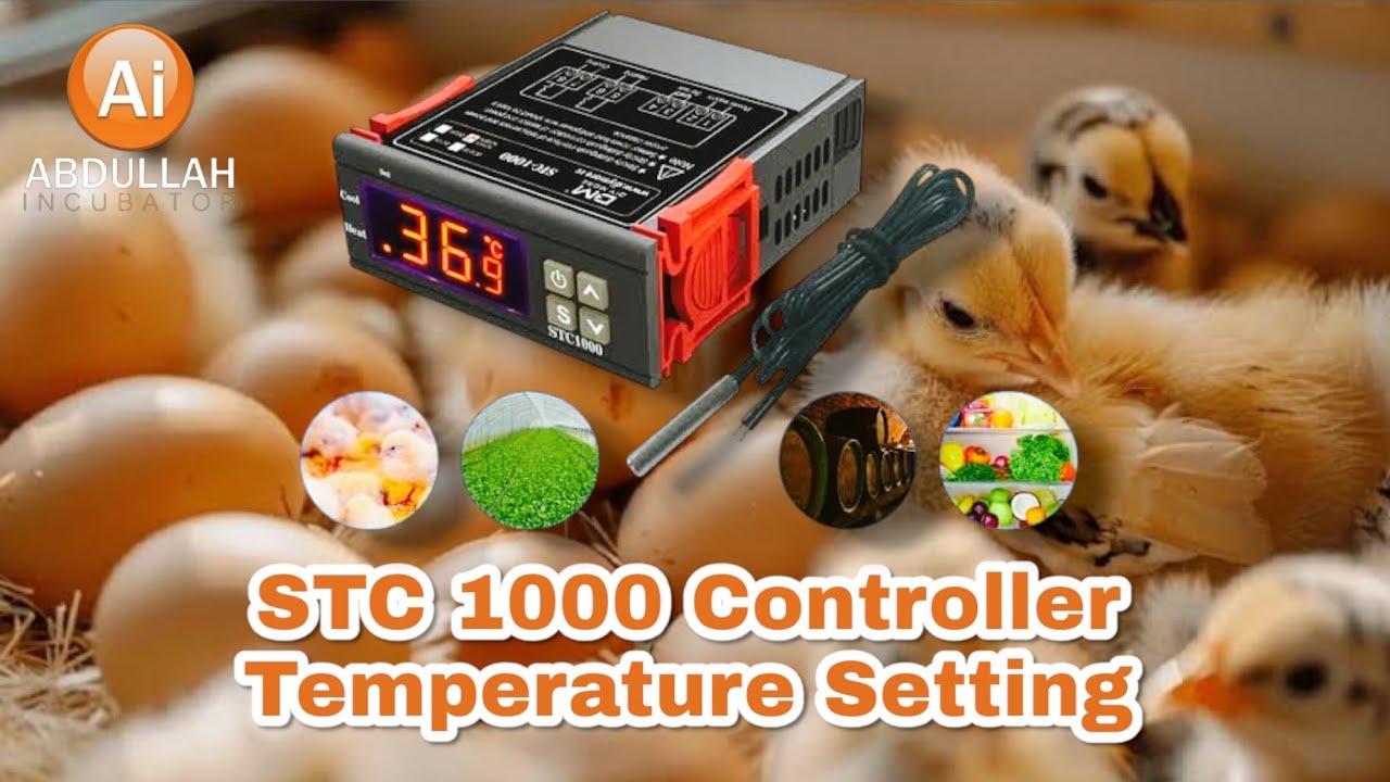 STC 1000 Controller Temperature Setting Bangla || ইনকিউবেটর মেশিনের তাপমাত্রানাম সেটিং