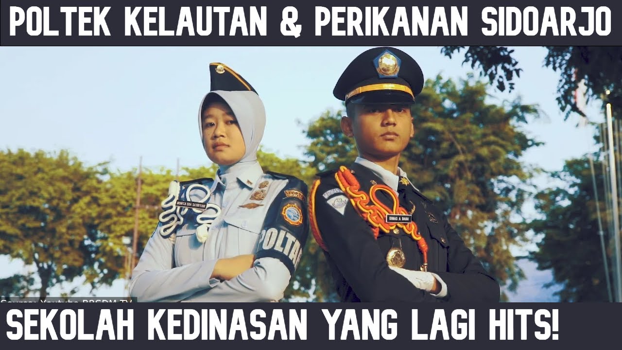 GOOGLE RISING! POLITEKNIK KELAUTAN DAN PERIKANAN SIDOARJO | SEKOLAH KEDINASAN YANG LAGI HITS