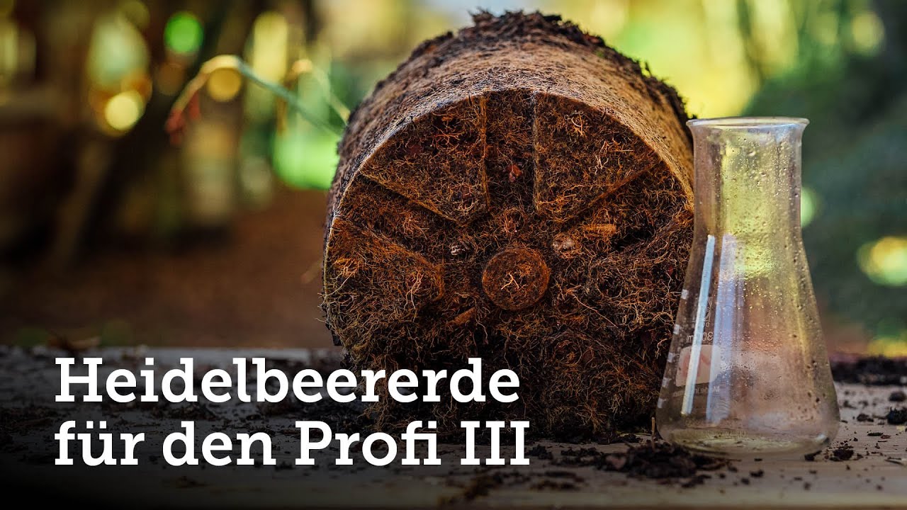 Heidelbeererde für den Profi | Teil 3