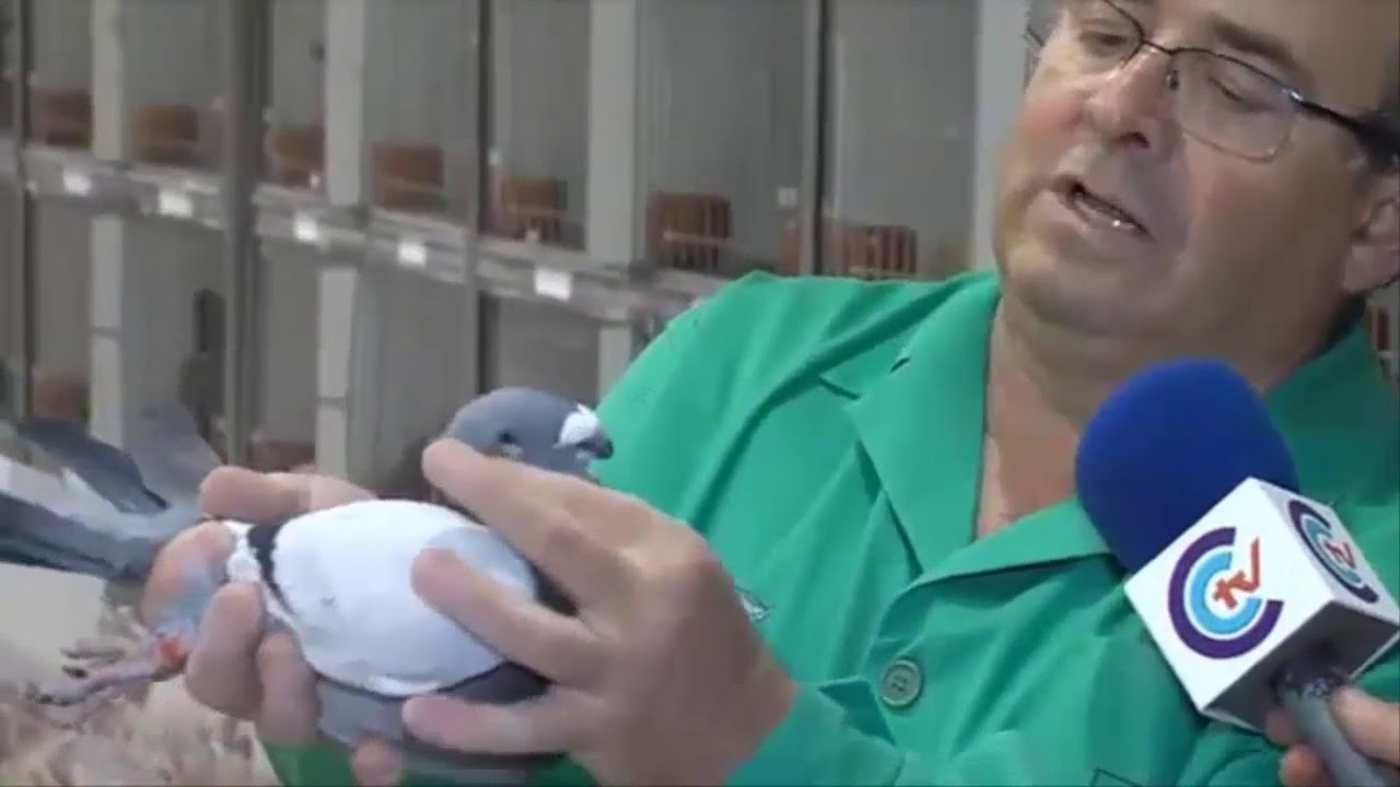 Buchón Jiennense enjuiciamiento 🔆