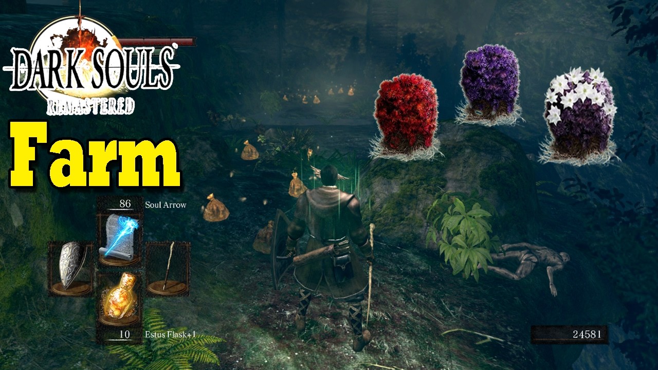 Feiticeiro de Vinheim farm antipoison | Dark Souls Remastered
