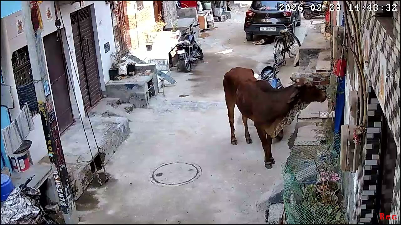 Kaaluuuuu