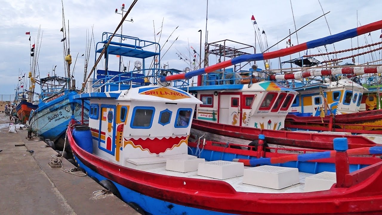 Ambalangoda Fishery Harbor Sri Lanka #tuna #FunnyShips