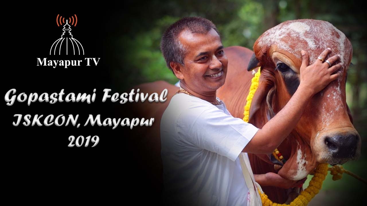 Gopastami Festival 2019 - annual chance to see the lotus feet of Srimati Radharani