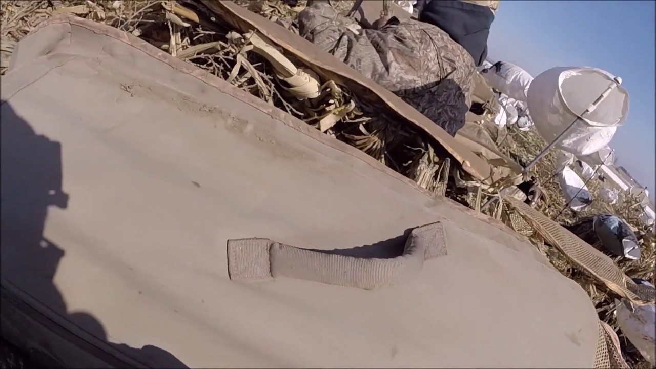 Spring Snow Goose Hunt 2018