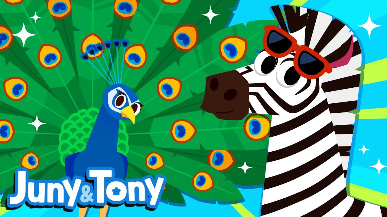 Animal Fashion Show | Animal Patterns | Animal Songs for Kids | JunyTony