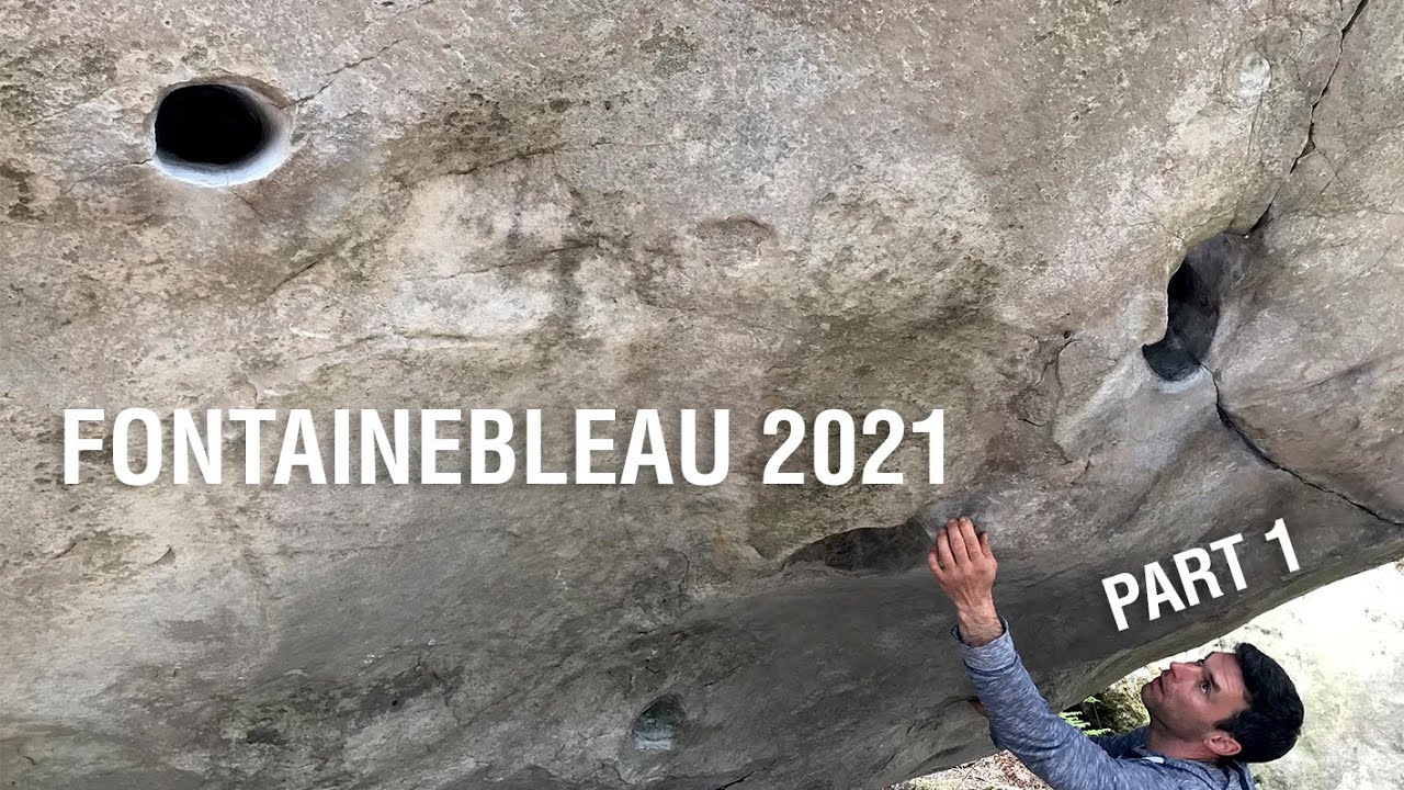 FONTAINEBLEAU | Égoïste, Waimea & Opium