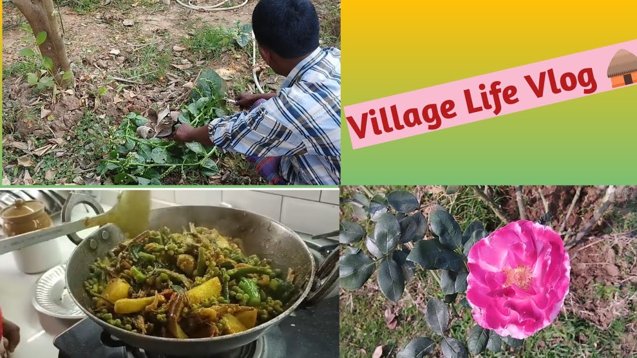 Village Life Vlog 🛖 #viral #food #trending #recipe #flowers #ytshorts #cooking #organicgardening 