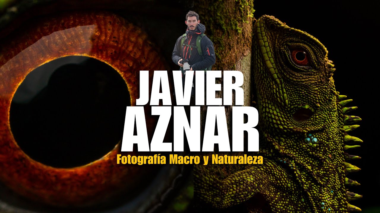 Javier Aznar | 🪲 Fotografía MACRO y NATURALEZA 🍁En el CORAZÓN de la Selva