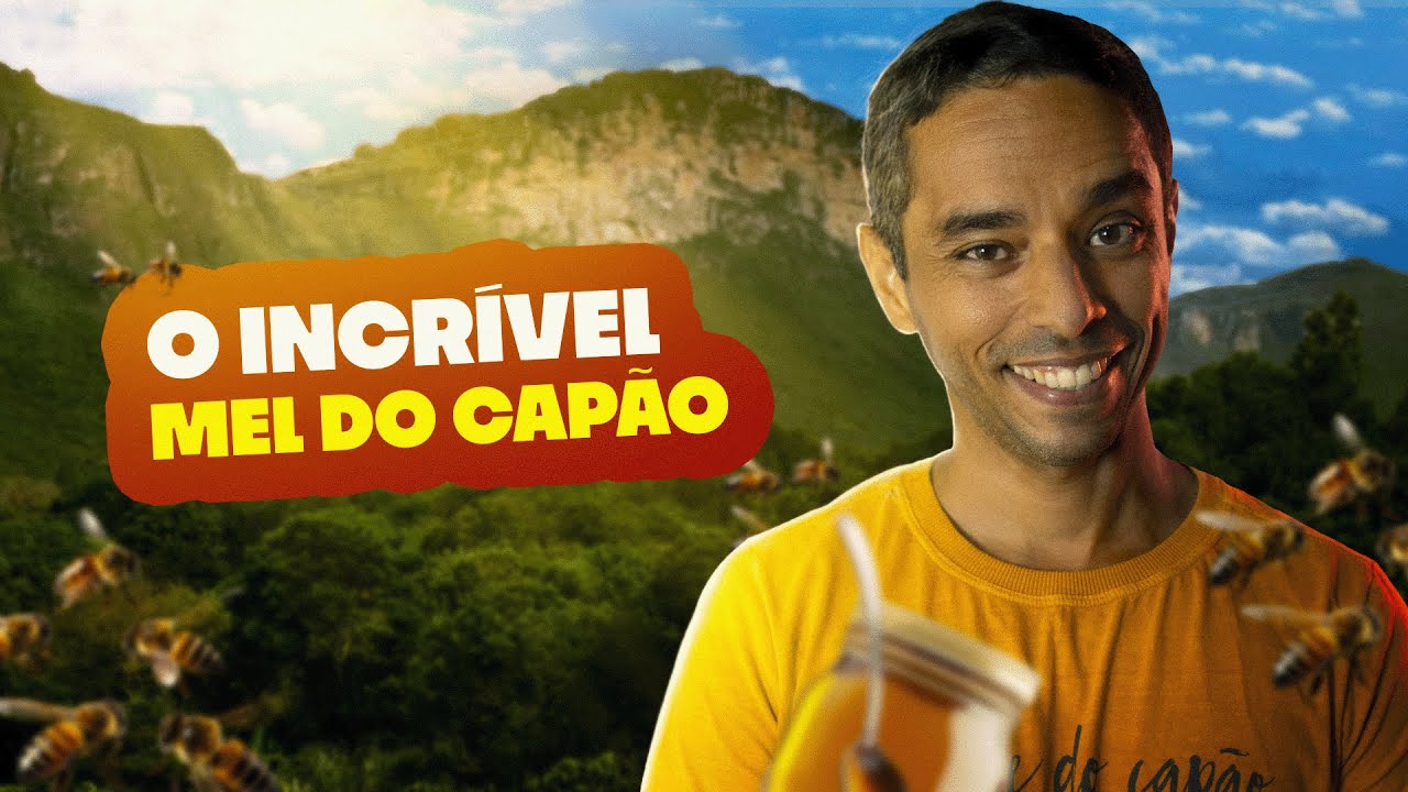 O precioso MEL ORGÂNICO da CHAPADA DIAMANTINA│Lucas da Chapada