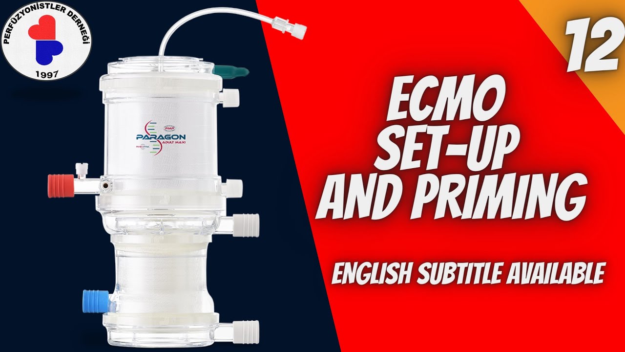 ECMO  (KURULUM VE PRİME)