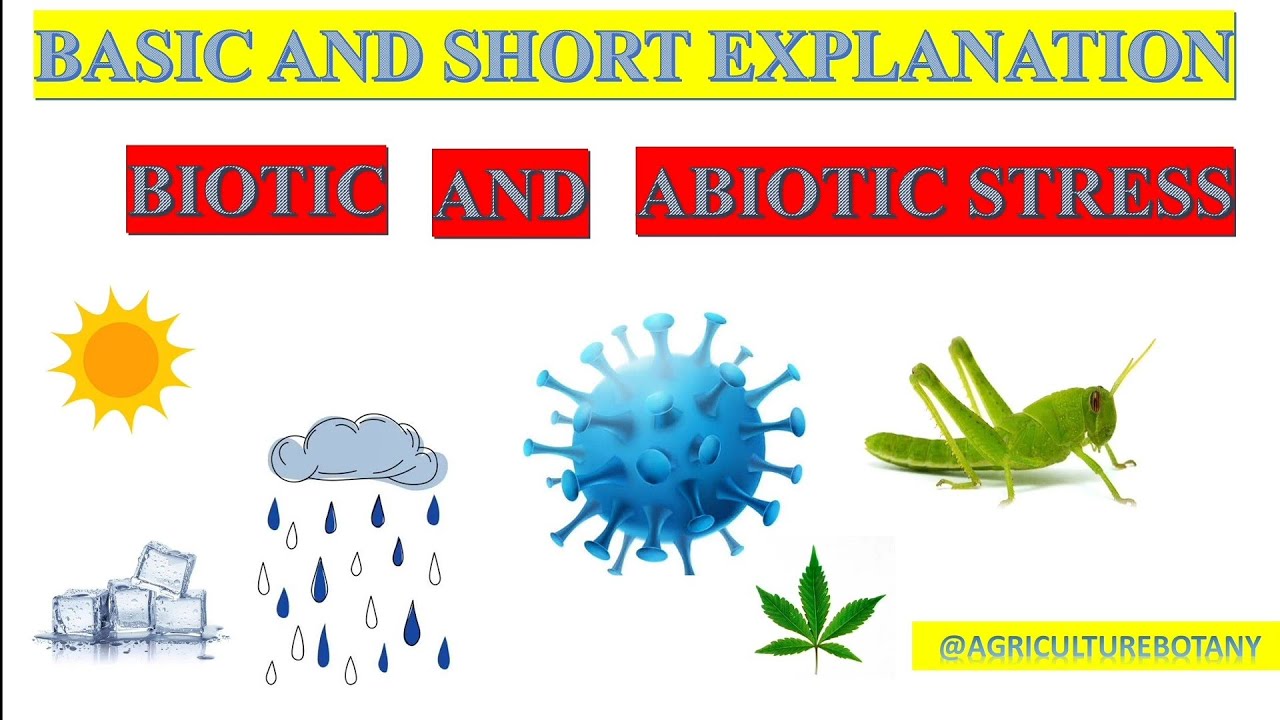 Biotic and Abiotic Stress in Plants | Causes and response | Short Explanation | Devendra yadav