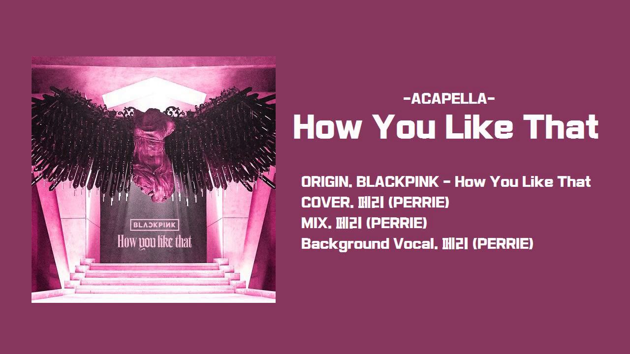 [COVER] BLACKPINK - How You Like That [Acapella Ver.]