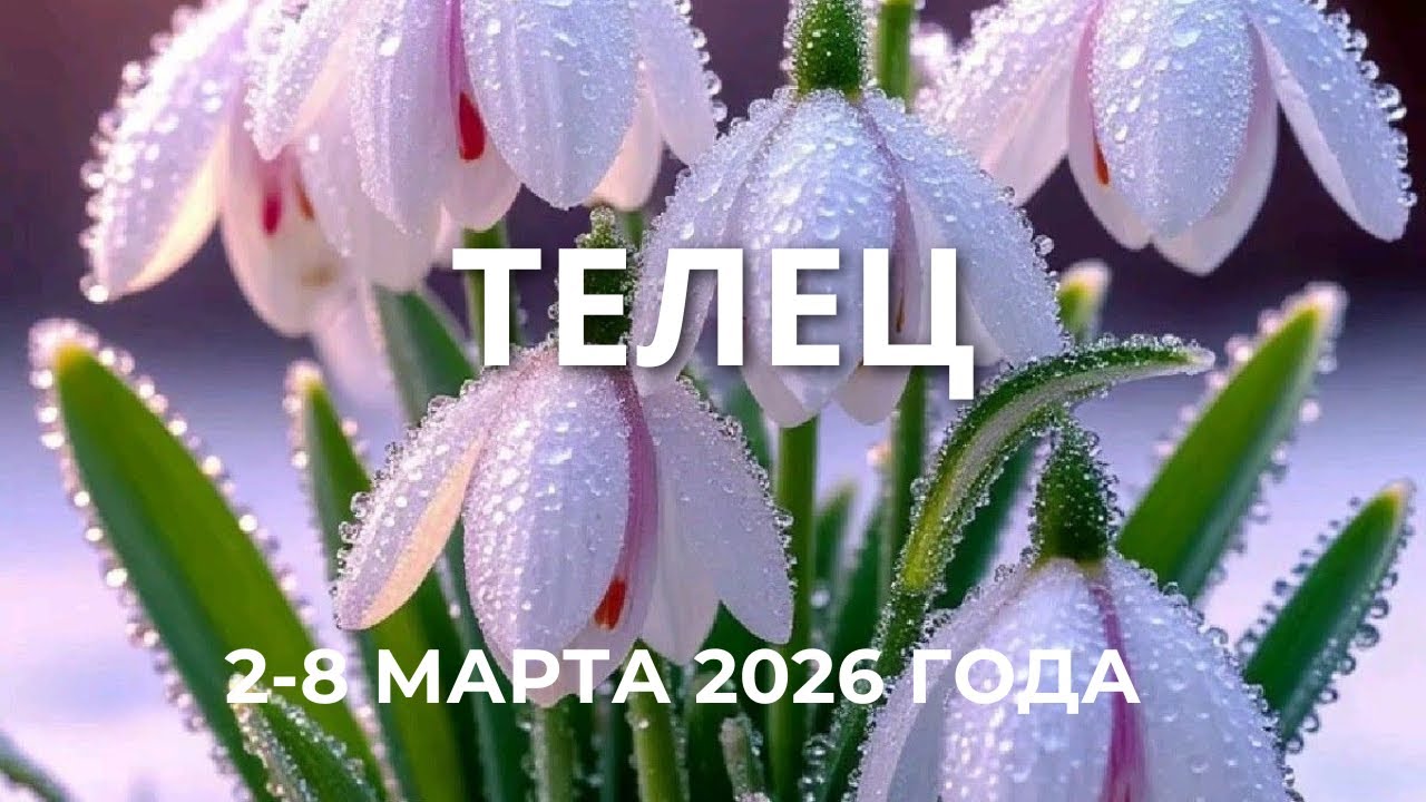 Телец ♉️, 2-8 марта 2026 года 🌷🌷🌷