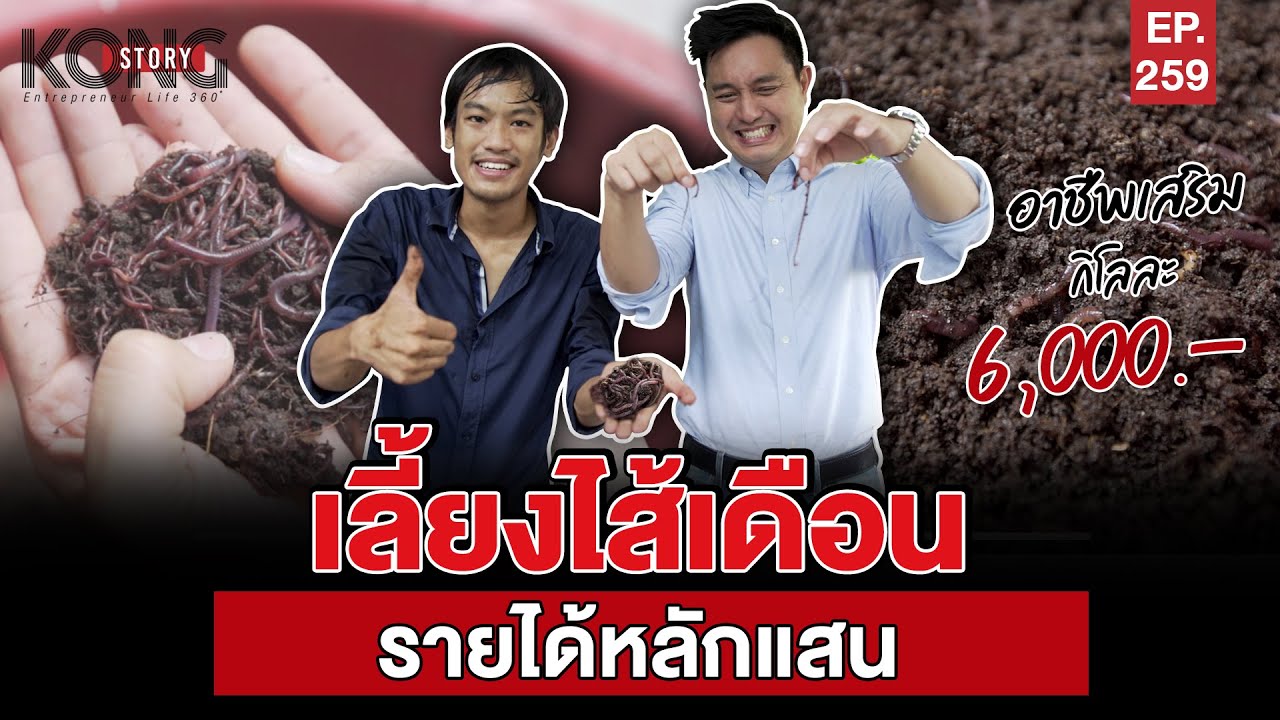 เลี้ยงไส้เดือน รายได้หลักแสน l Kong Story EP.259