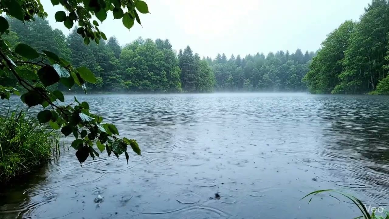 ***2 hours Heavy Rain Sounds for Sleeping & Focus ***