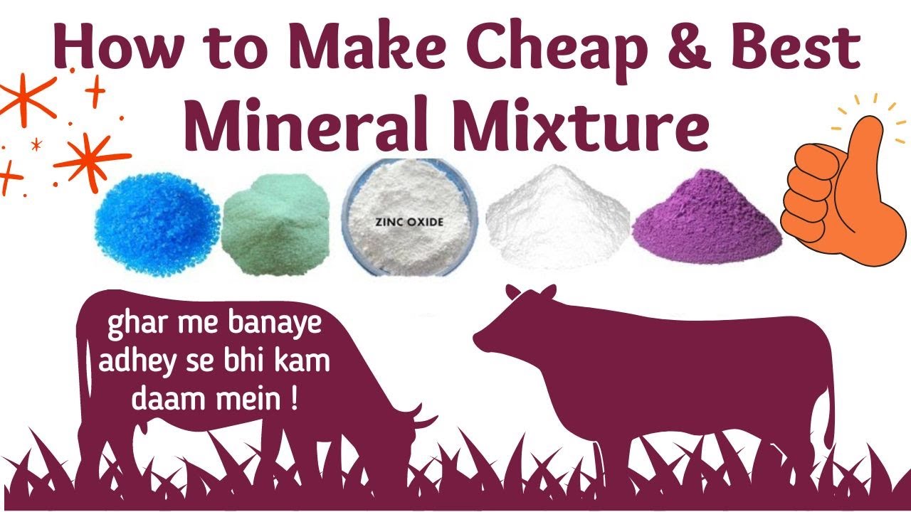 How to make MINERAL MIXTURE for cows, buffaloes, goat and sheep at home | Mineral Mixture Formula