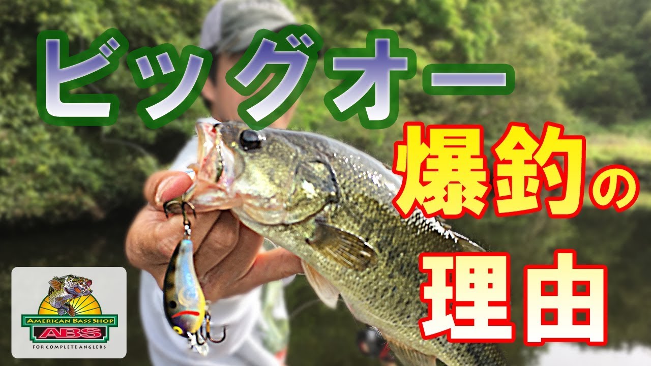 ビッグオー爆釣の理由　僅かな差が釣果を飛躍的に上げる　ABSバス釣り動画　Cotton Cordell Big-O