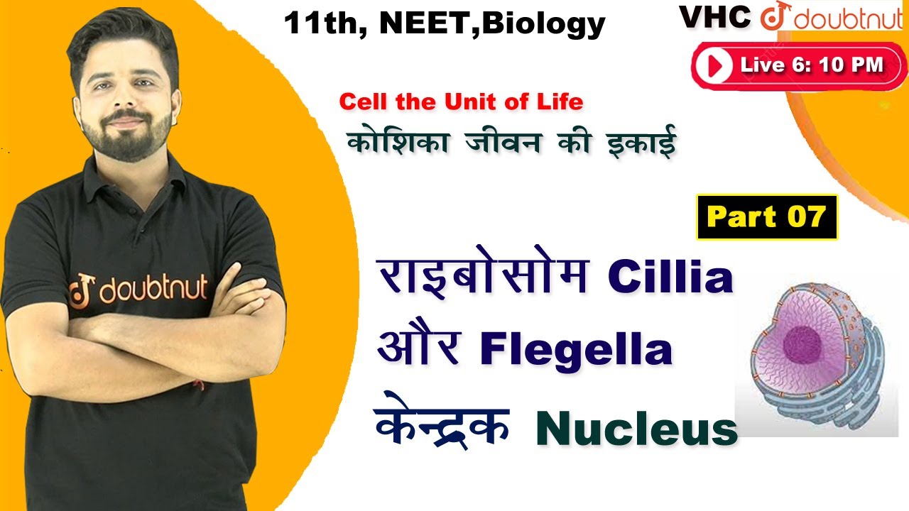 राइबोसोम, cillia & flegella केंद्रक|Cell the Unit of Life|Biology|11th |Chapter 8| Part 7|Yogesh Sir