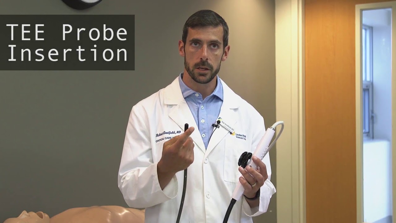 Trans esophageal echocardiography principles 1