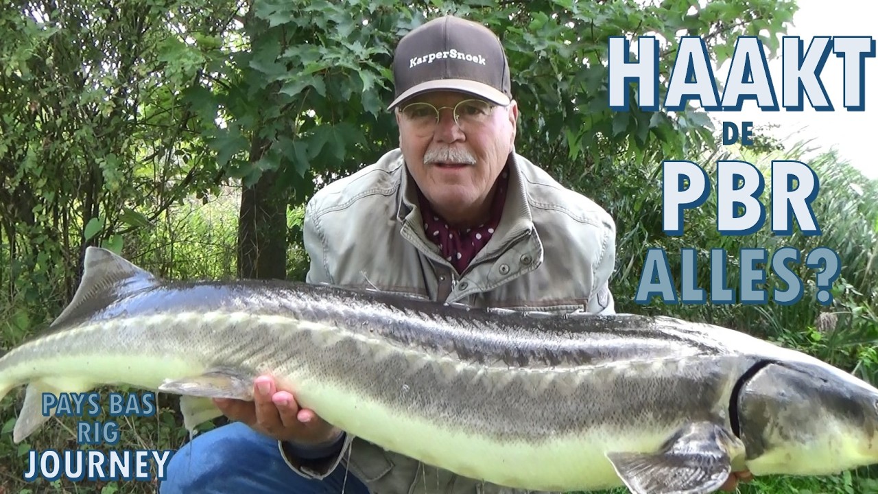 Pays Bas Rig for CARP by pensionado | 2025 the journey 7/10