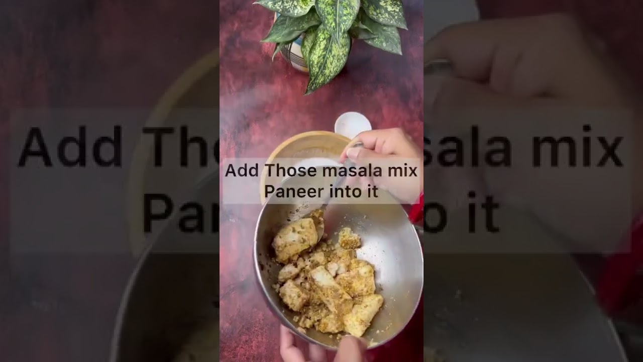 Paneer Jiggle Idli #chefsumiskitchen #youtubeshorts #shorts #shortvideo