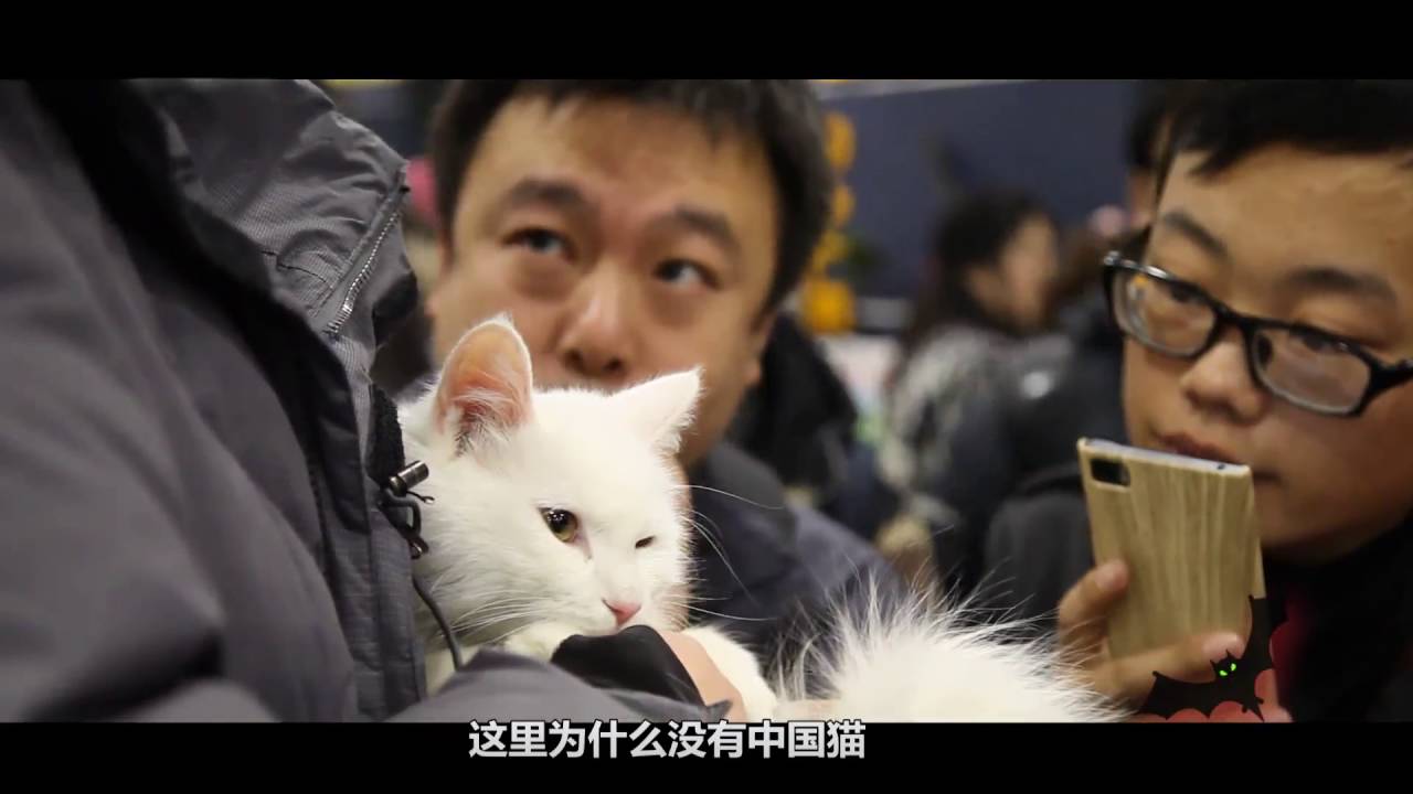 【In China】Pricest Pussy