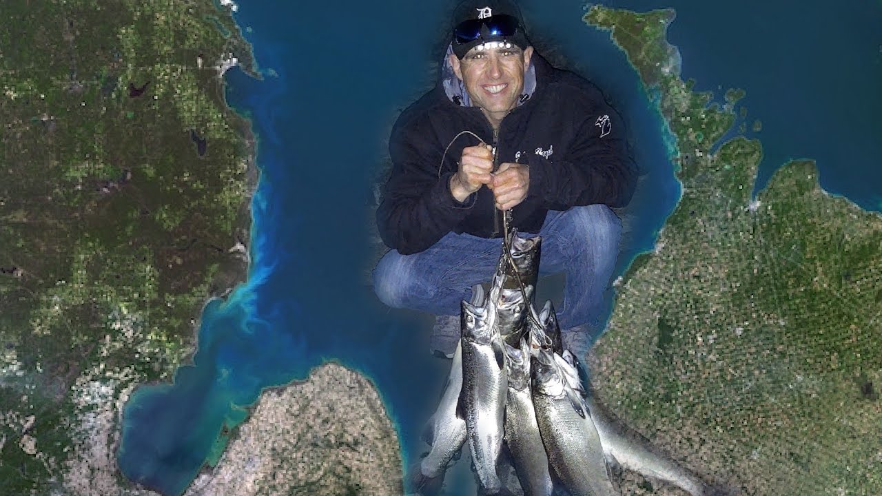 Coho Salmon Limits: Southern Lake Huron Resurgence