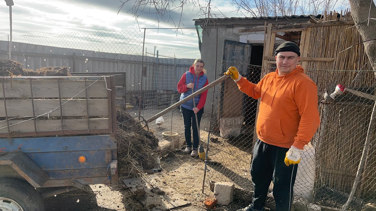 Буська натворила делов… Начали уборку 