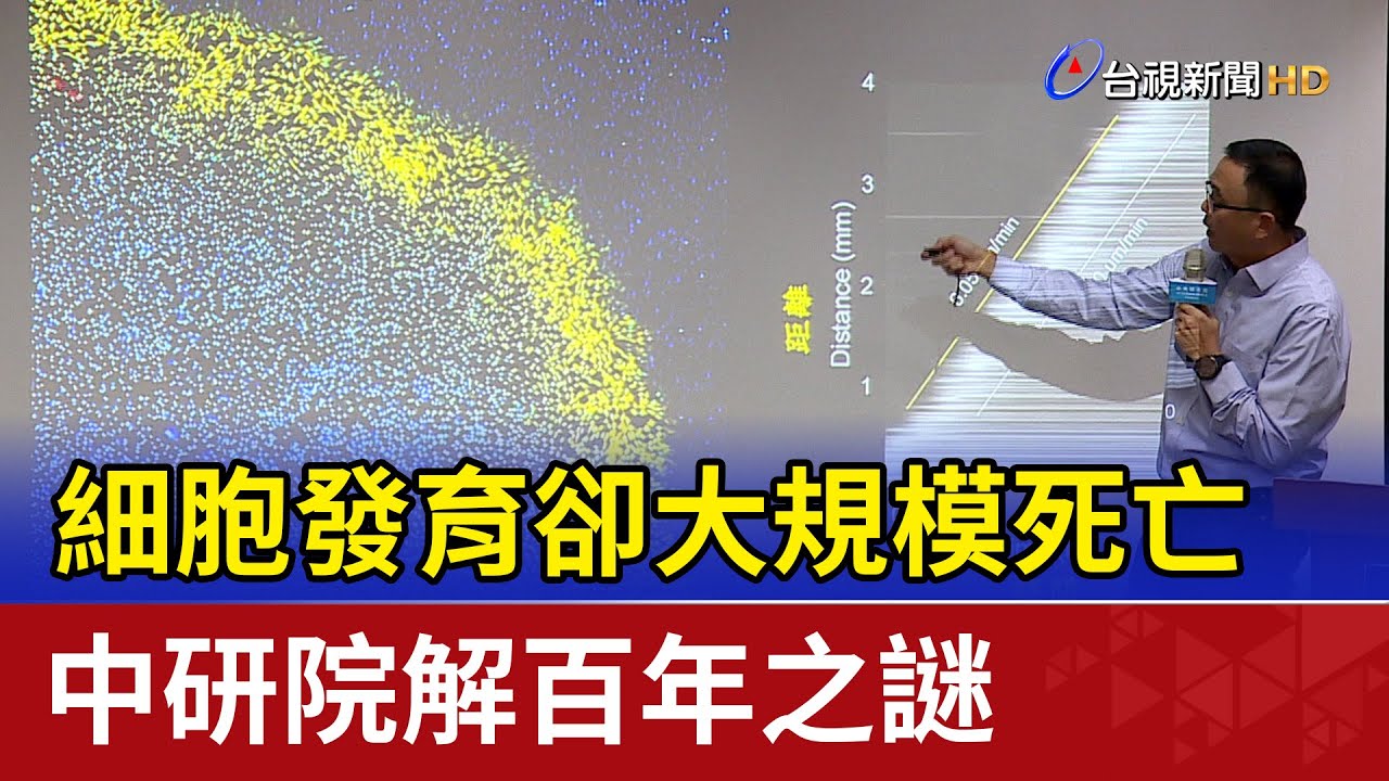 細胞發育卻大規模死亡 中研院解百年之謎