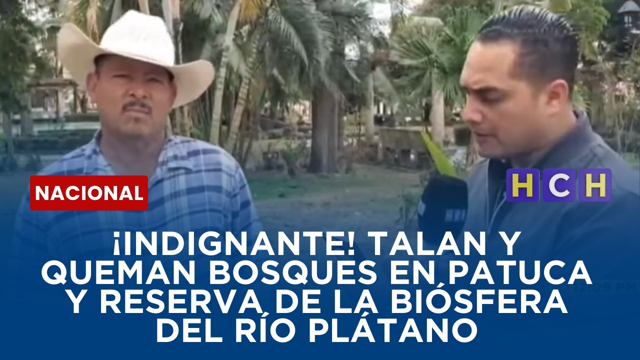 ¡Indignante! Talan y queman bosques en Patuca y Reserva de la Biósfera del Río Plátano