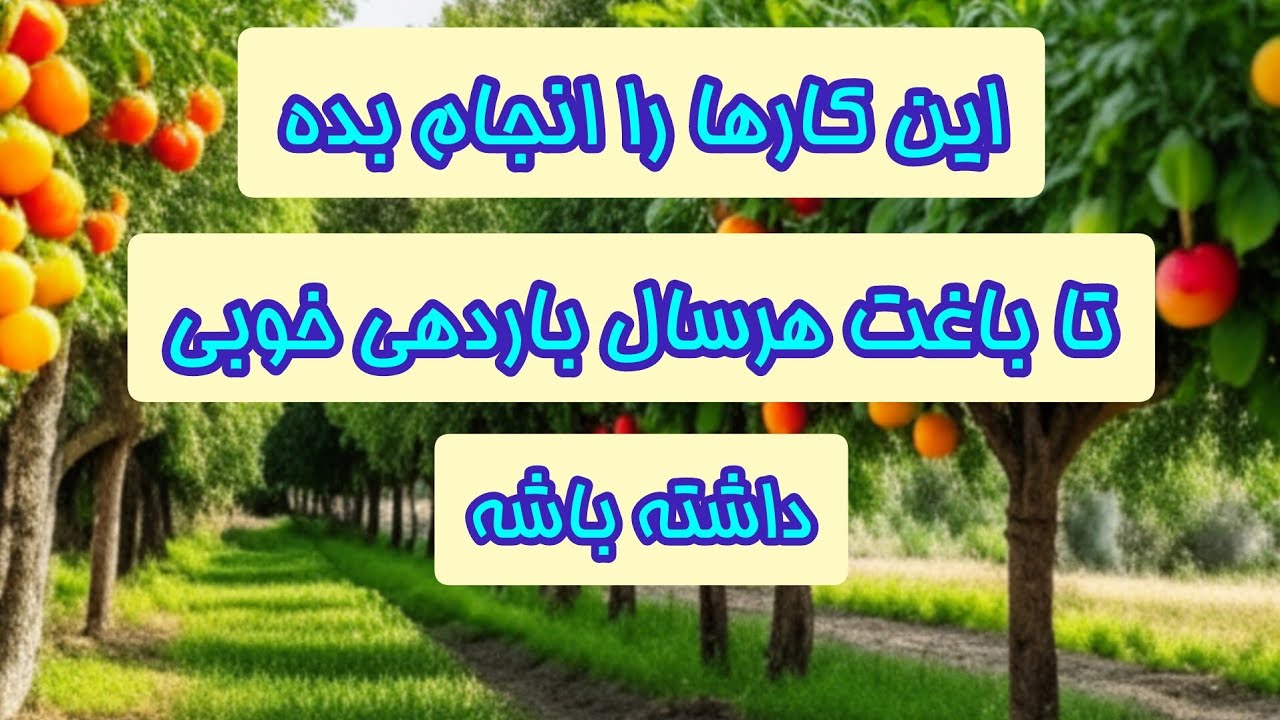 اگه درختت یکسال باردهی داره سال بعد بار نمیده این ویدئو را تا آخر ببین