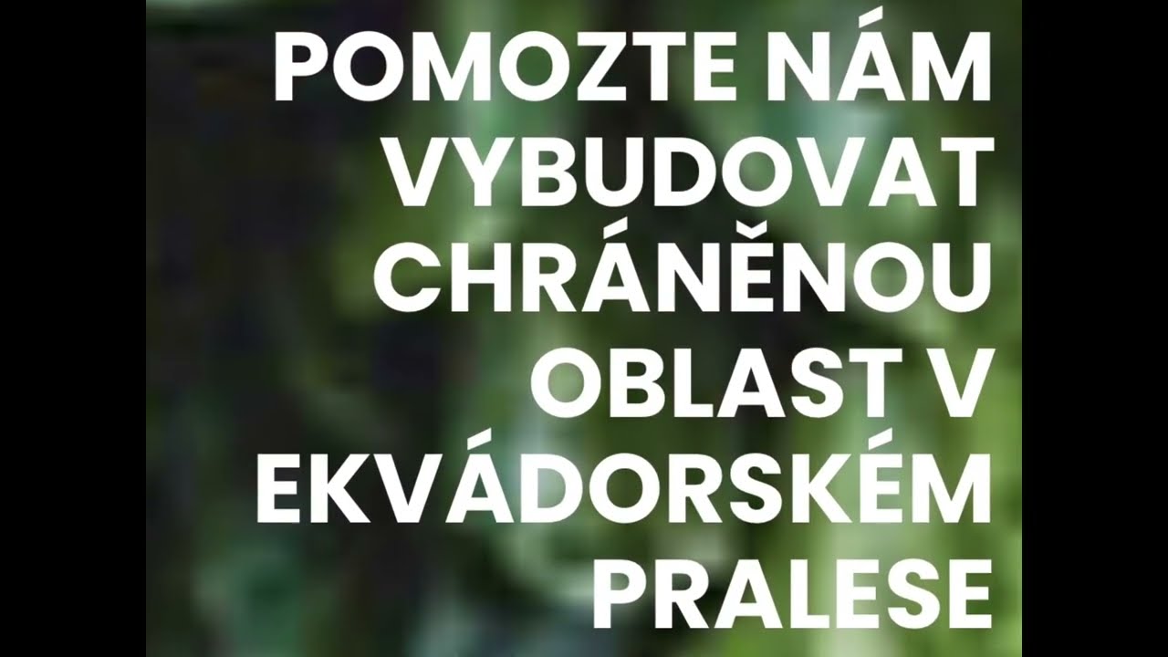 Divine Festival 2022