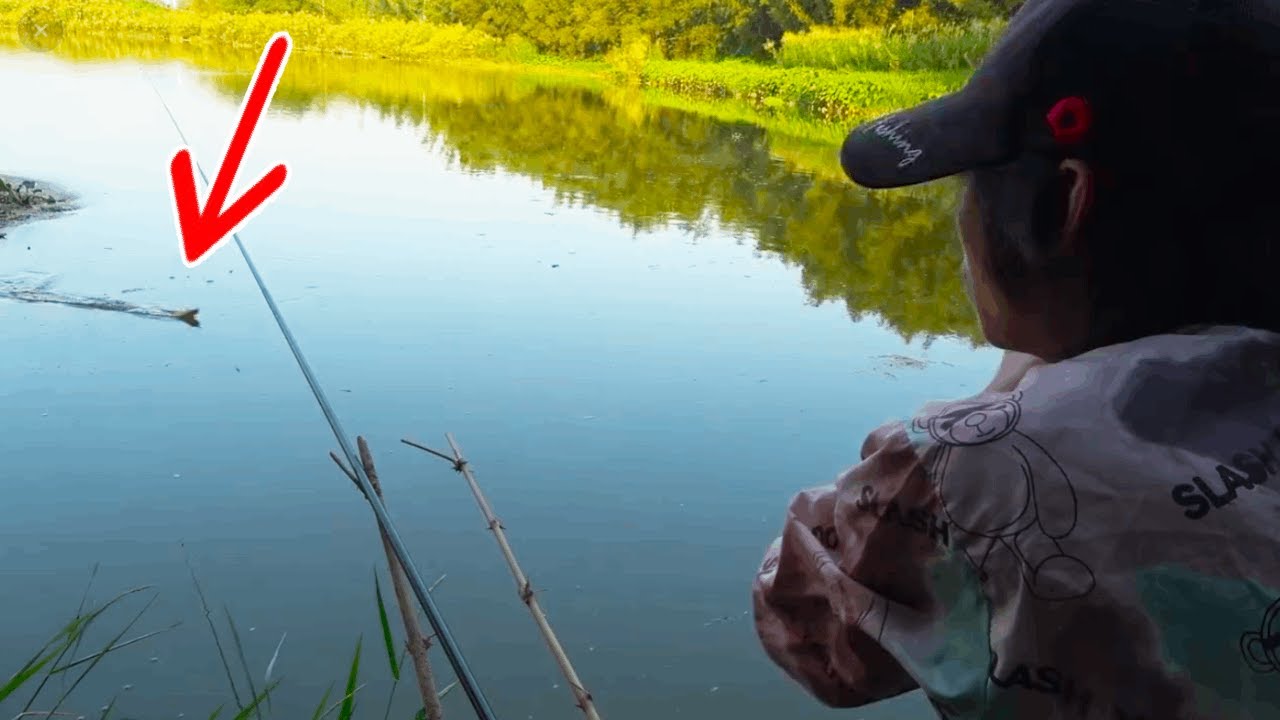 昨天打好的玉米窩，今天一看被搶了，只能換個釣位整點小魚了【野釣長空】