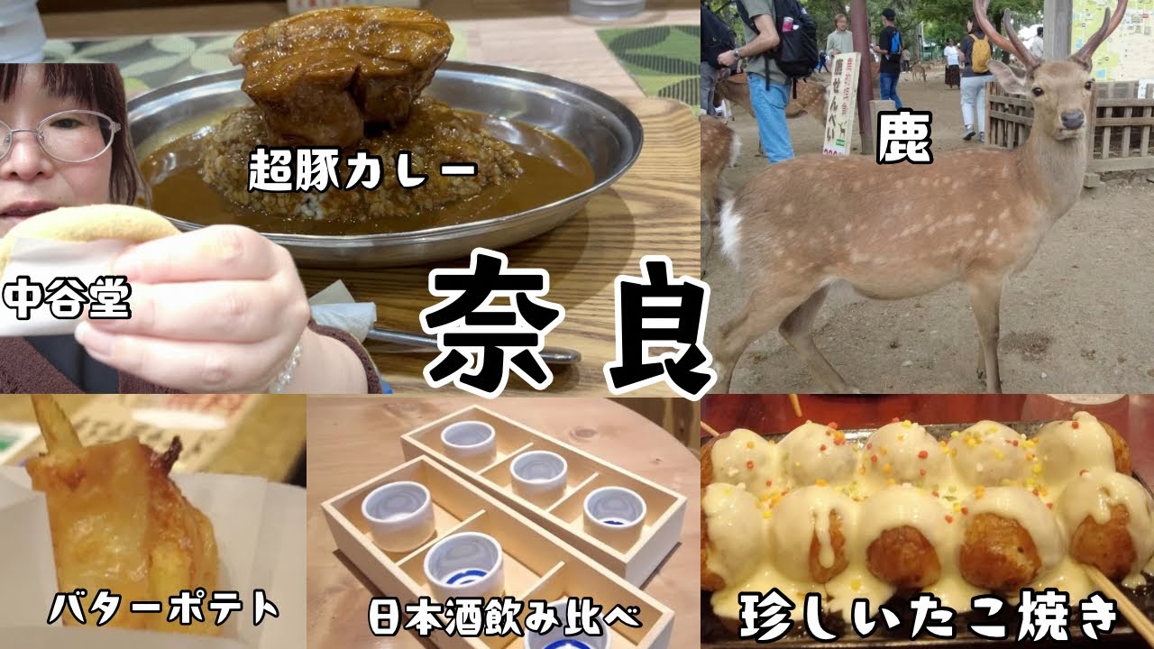 【奈良】食べ歩き！奈良の鹿が大接近！？ユニークなお太り様旅